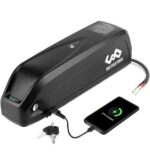 36V 26Ah Hailong Lithium Battery