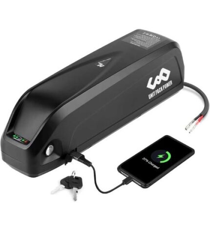 36V 26Ah Hailong Lithium Battery